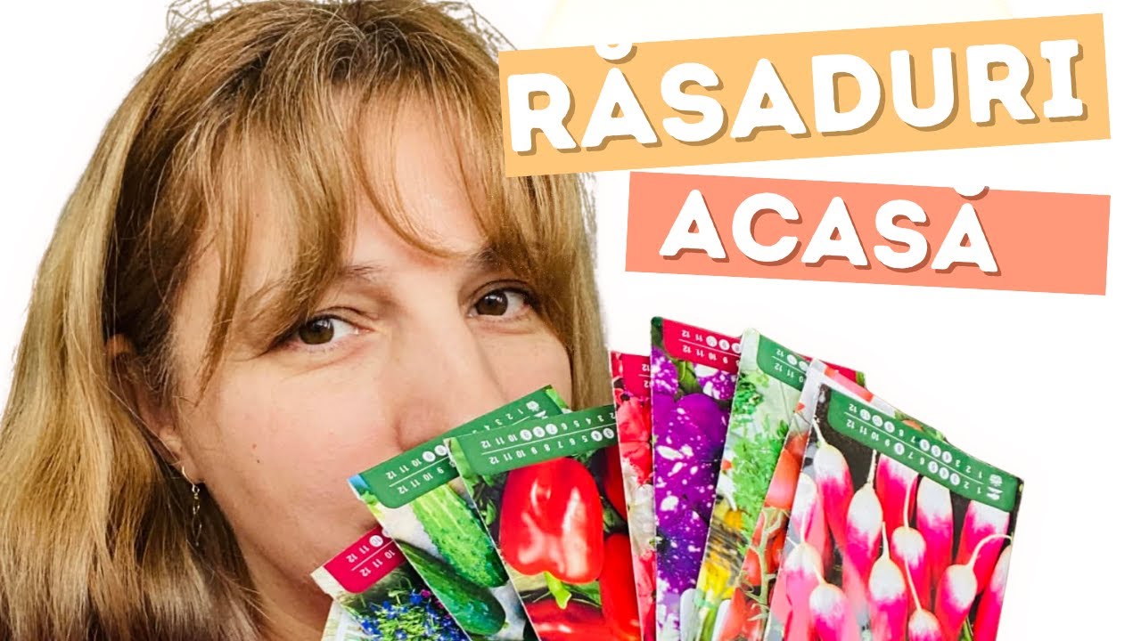 Răsaduri făcute în bucătărie | semințe, șervețel, săculeți de ceai