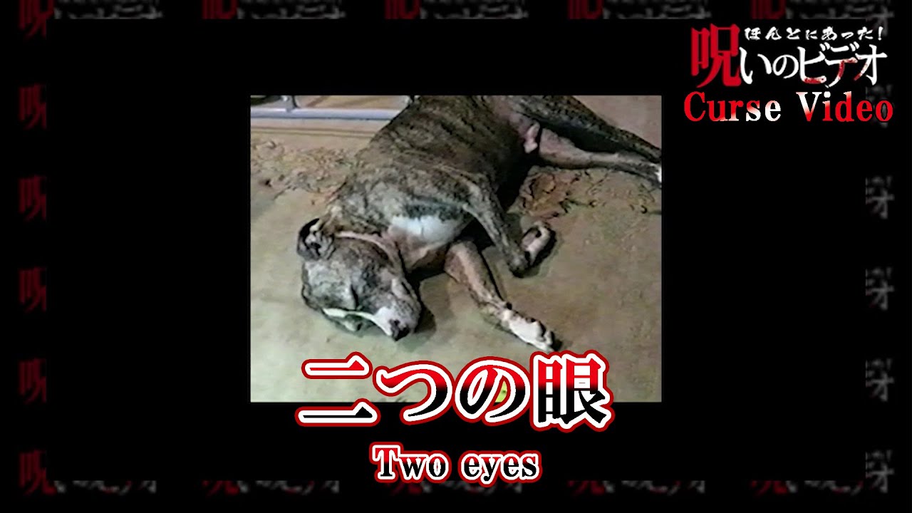 ほんとにあった！呪いのビデオ 「二つの眼」Curse Video 