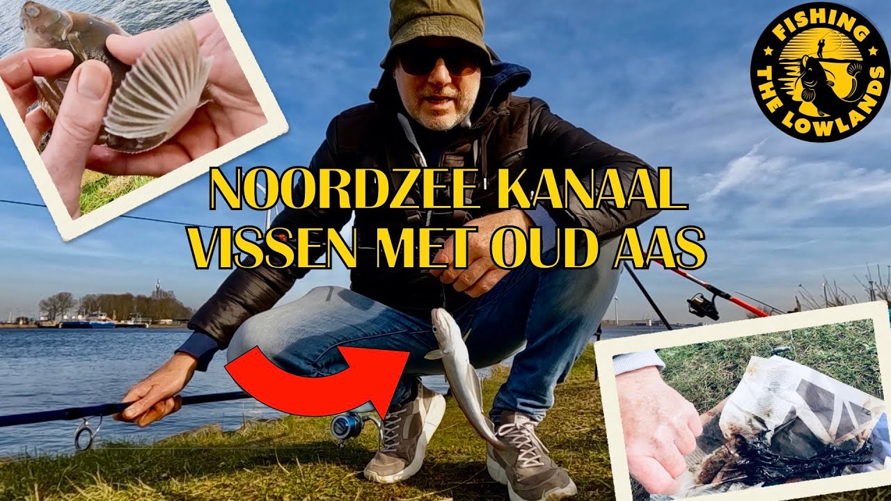 Noordzee kanaal vissen met oud aas. FisfVlog 