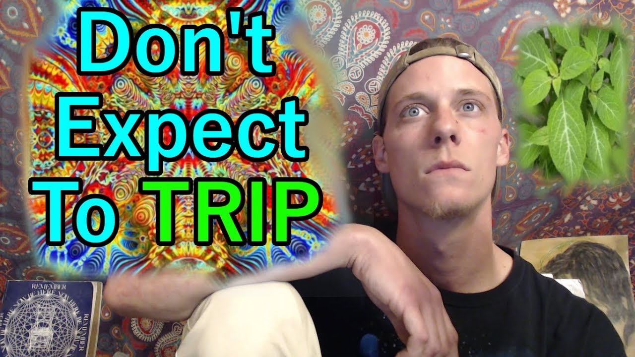 Don't Expect To 