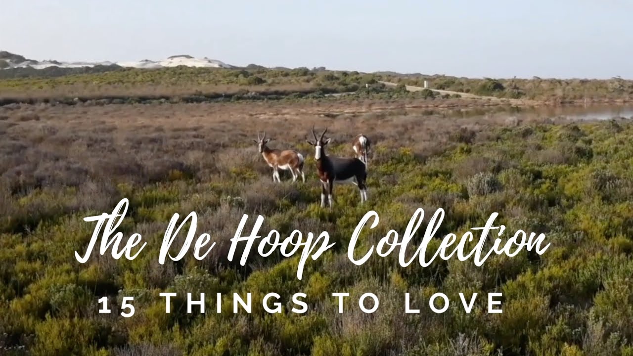 The De Hoop Collection: The Ultimate Western Cape Weekend Getaway