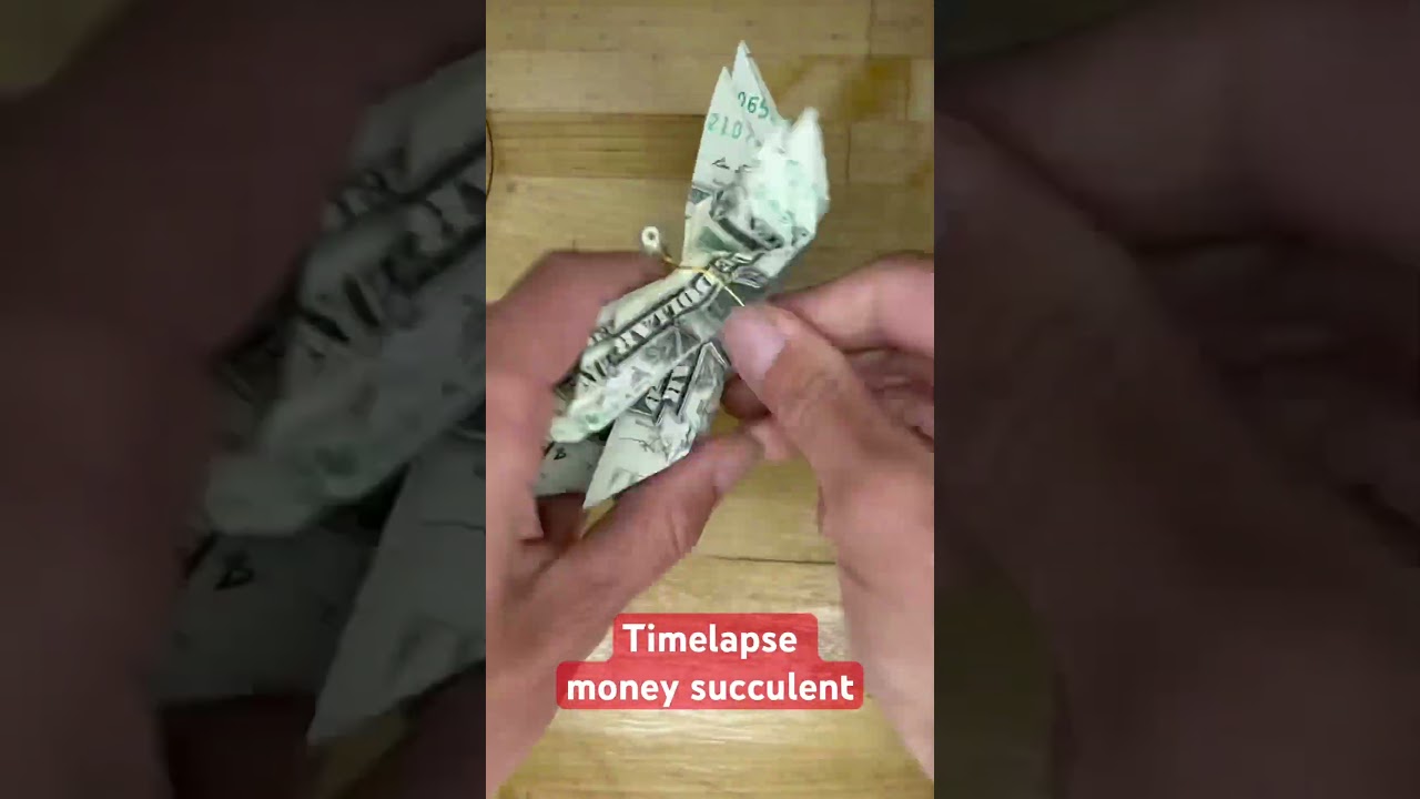 Timelapse of how to make a money origami succulent plant. DIY money gift ideas #diyprojects