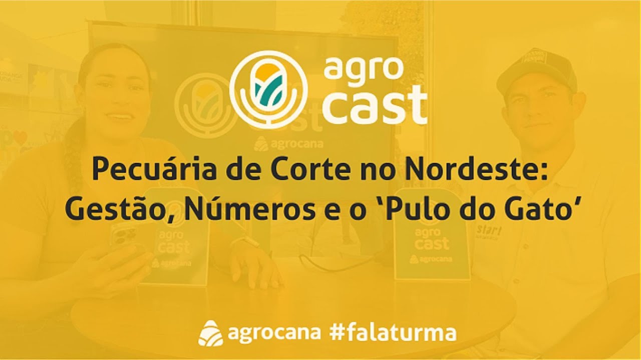 Agrocast: Pecuária de Corte no Nordeste: Gestão, Números e o ‘Pulo do Gato’