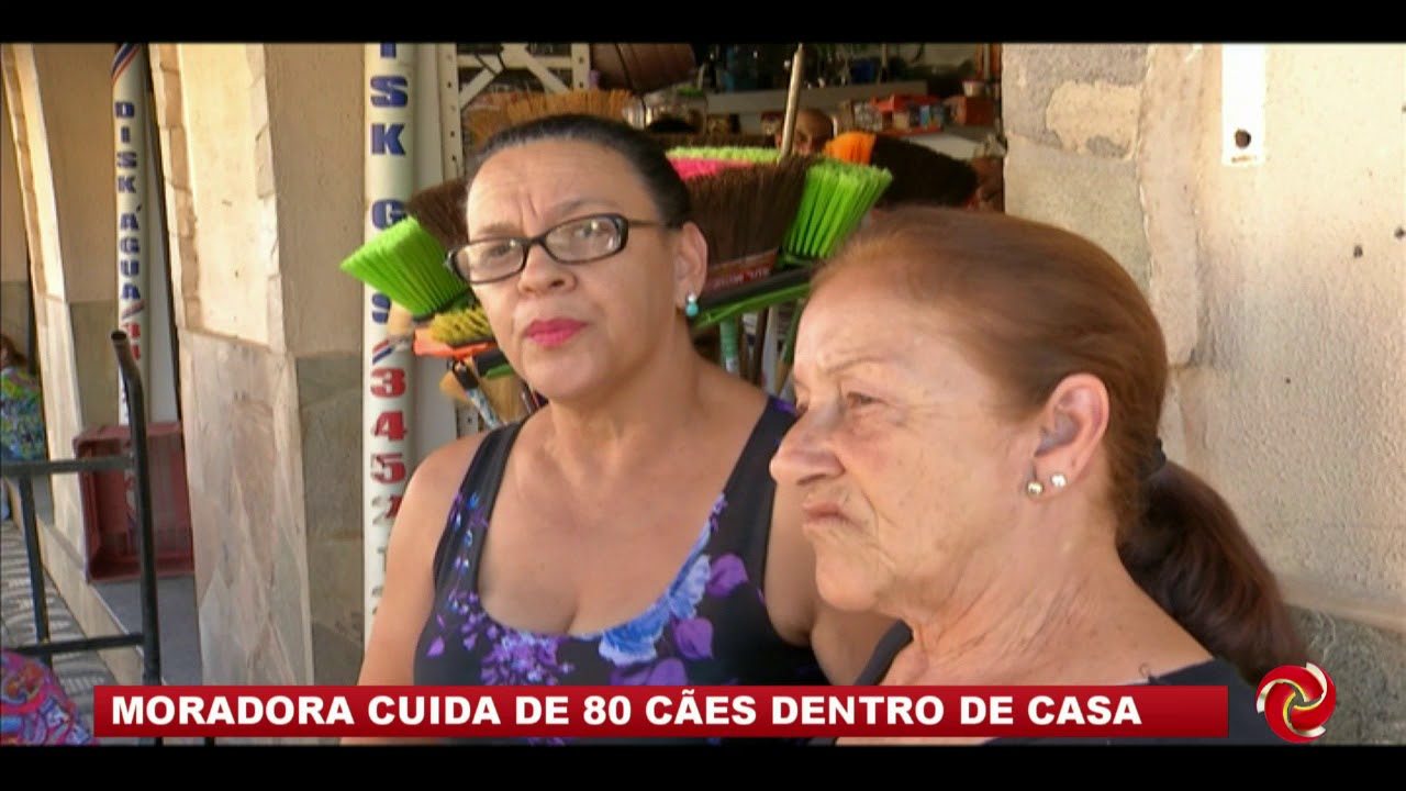Moradora cuida de 80 cães dentro de casa em Careaçu