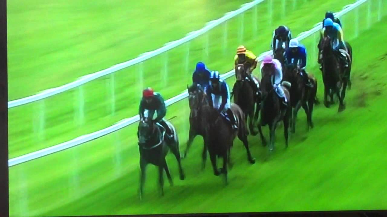 Royal Ascot: The Gold Cup 2012