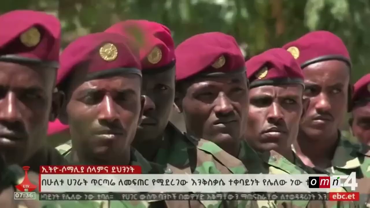 Daa'imtuu Torbanii : Muddamsa Gaanfa Afriikaa