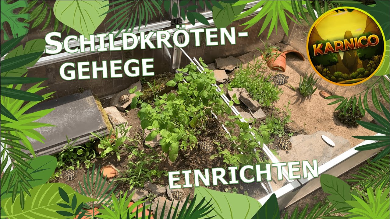Schildkrötengehege einrichten! I Das perfekte Aussengehege für die Babys meiner Landschildkröten!