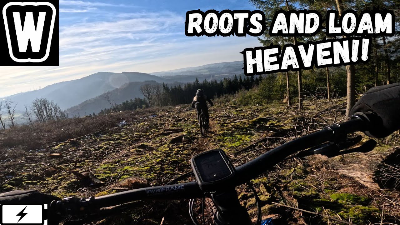 Ardennes Enduro Trails for Roots and Loam Fanatics