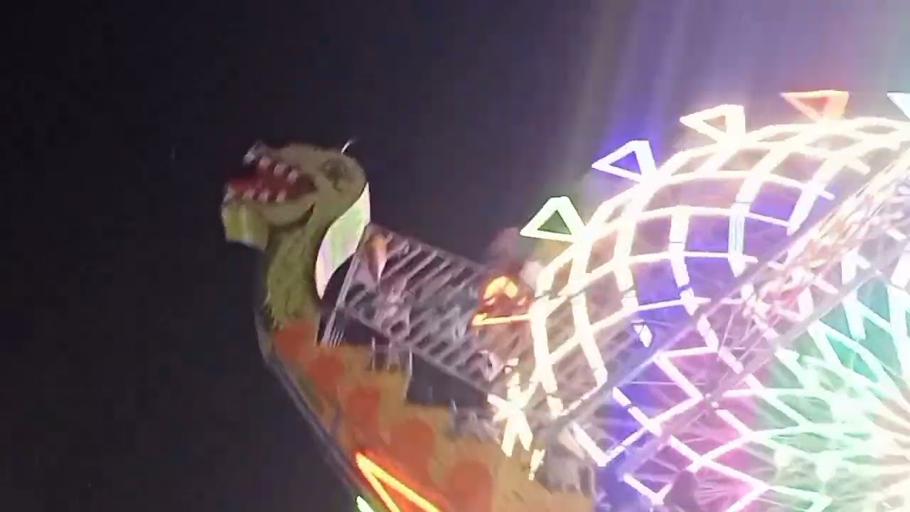 Dragon jhula 2, Rohini #vlog