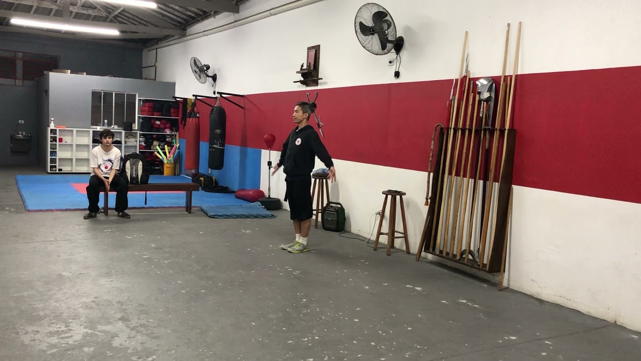 Cheng Style Swimming body Bagua, Bagua estilo Cheng, as 64 muta&ccedil;&otilde;es 程式游身八卦掌