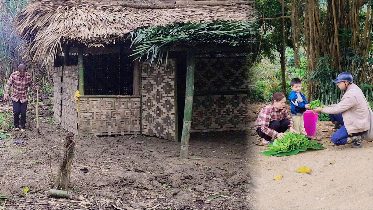 Days of Building a New Life in the Forest - Building a Bamboo House Alone - A New Challenge