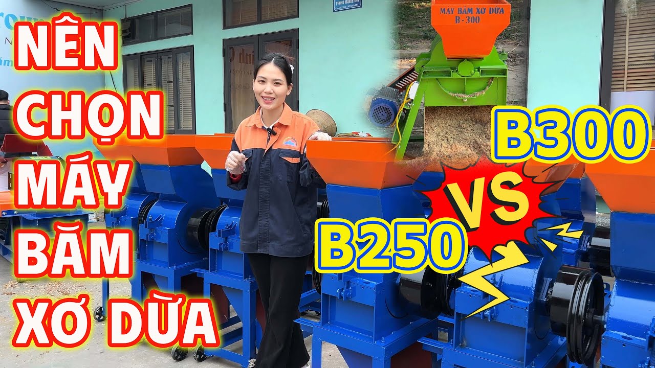 Nên chọn Máy Băm Xơ Dừa B300 hay Máy Băm Xơ Dừa B250 Bình Quân?