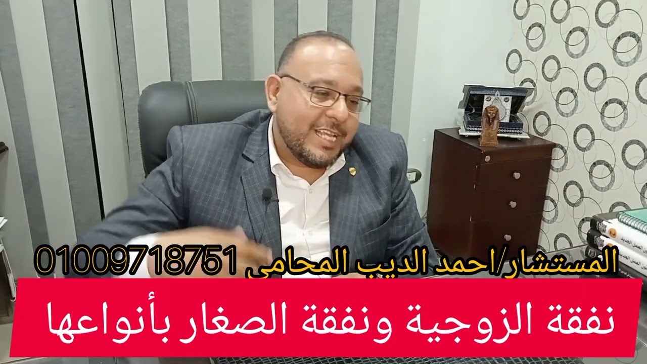 نفقة الزوجية ونفقة الصغار بانواعها