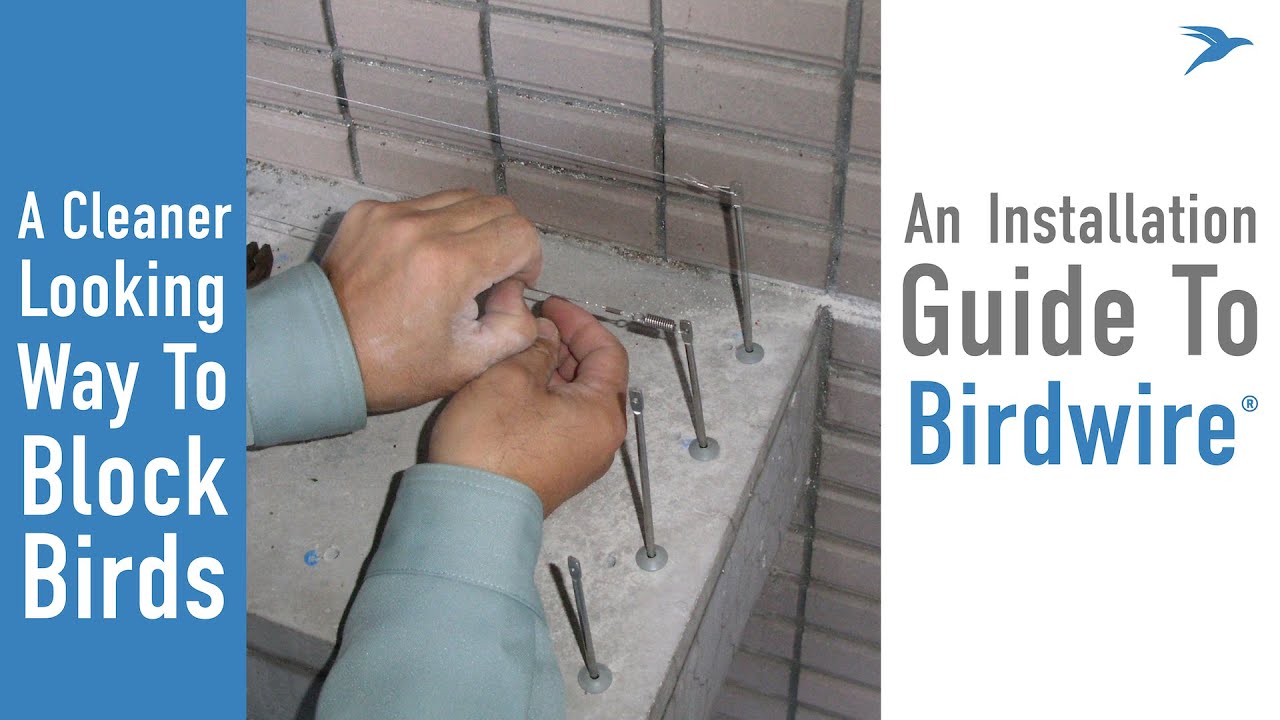 An Installation Guide To - BirdWire