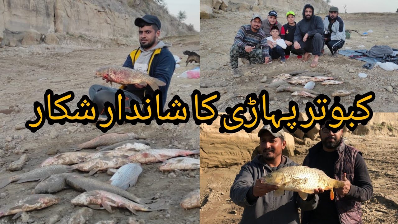 Kabotar Pahari Fishing Point | Outstanding Carp Fish Hunting | Mangla Dam Fishing | Muhammad Saad
