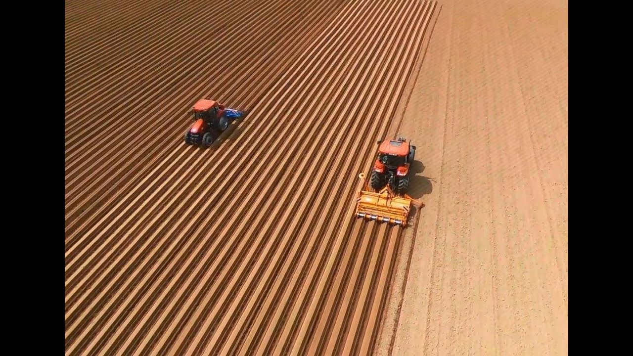 Préparation et semis de carottes