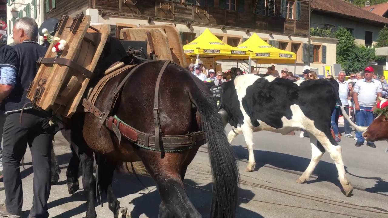 Die Kuhparade, Charmey, Gruyere, Fribourg Switzerland