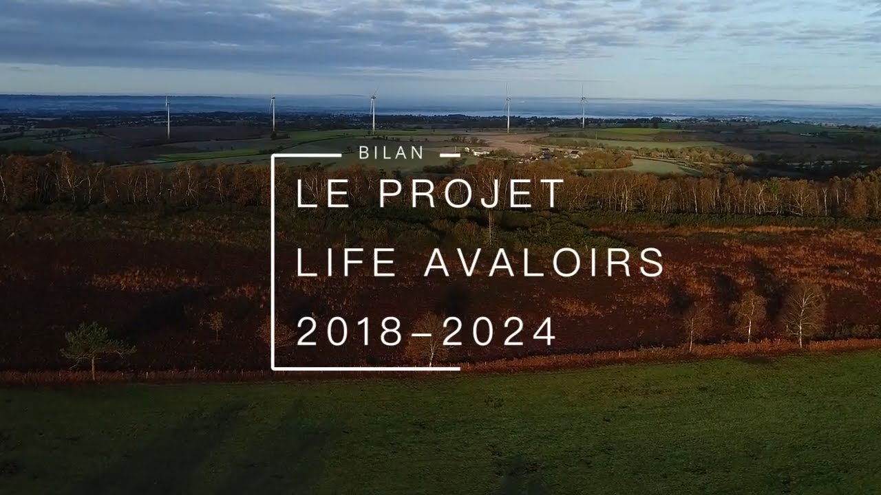 Projet LIFE Avaloirs : l'heure du bilan (2018-2024)