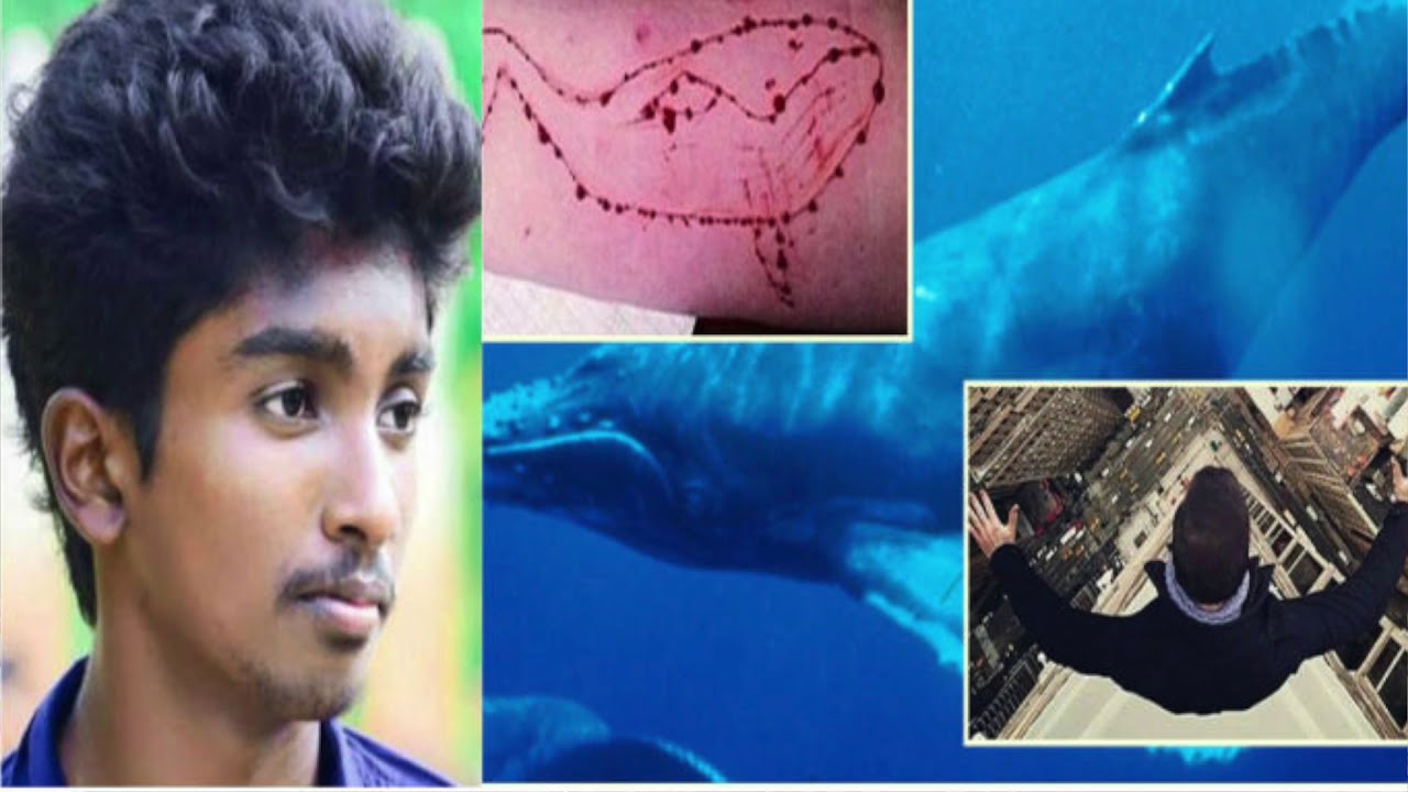 The Killer Game: Blue Whale