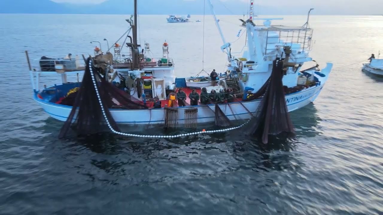 Αισθητήρες Γρι - Γρι Marport - Marport Purse Seine Sensors