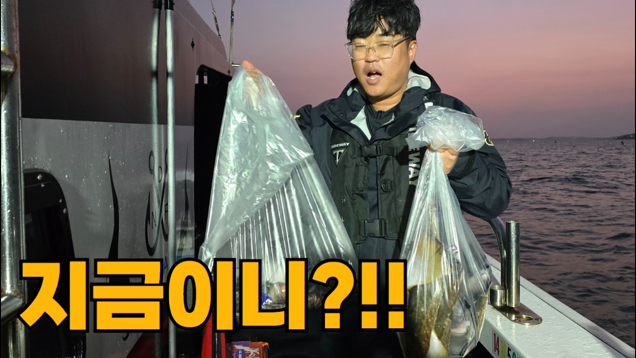 서해 광어다운샷! 지금이 시즌입니다~