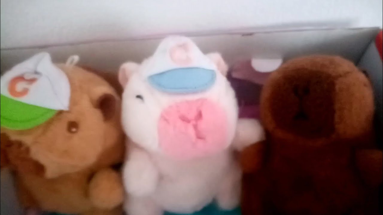 Una mañana con los capibaras💖 parte 2