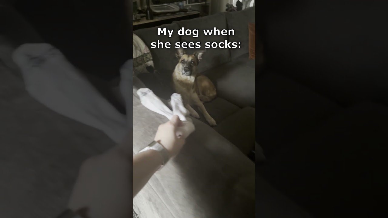 She’s always on the hunt 🧦 