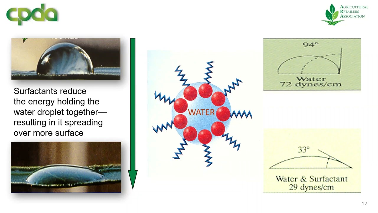 Surfactants, Stickers & Silicones