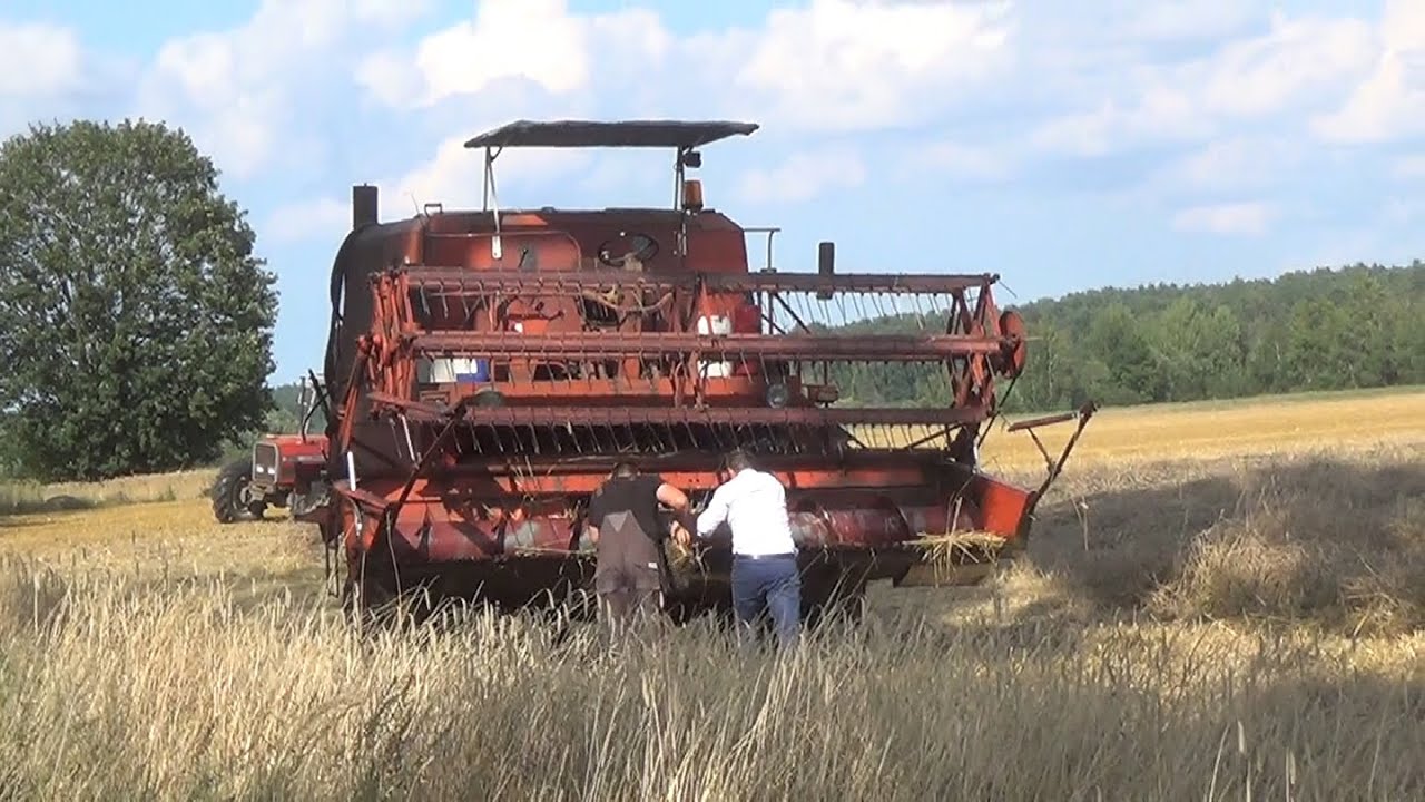 Nie tak dawno osoba w masce się wyróżniała - a dziś? Poczciwy Bizon Z056