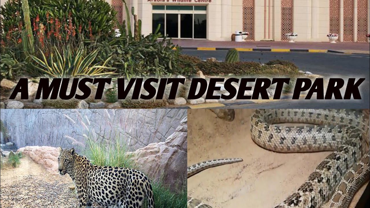 Arabia’s Wildlife Center - Sharjah(Indoor Zoo, Desert Park)
