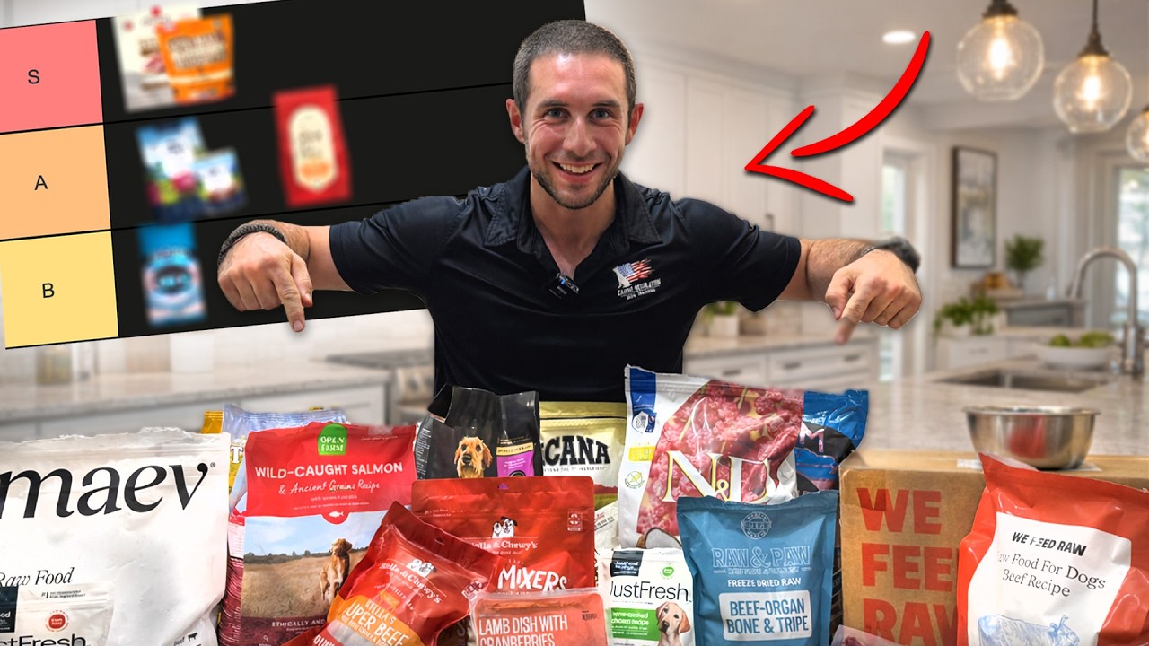 Dog Food Tier List: The Truth About What You're Feeding Your Dog