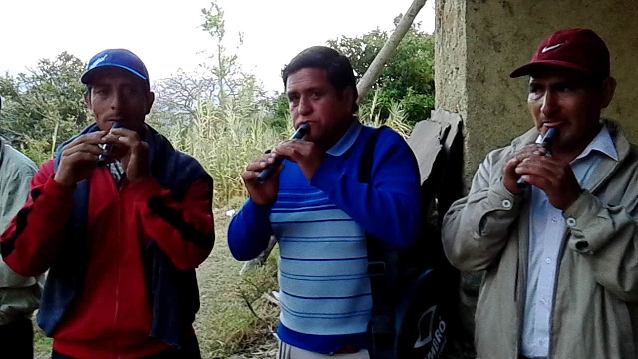 satelites de conga el verde