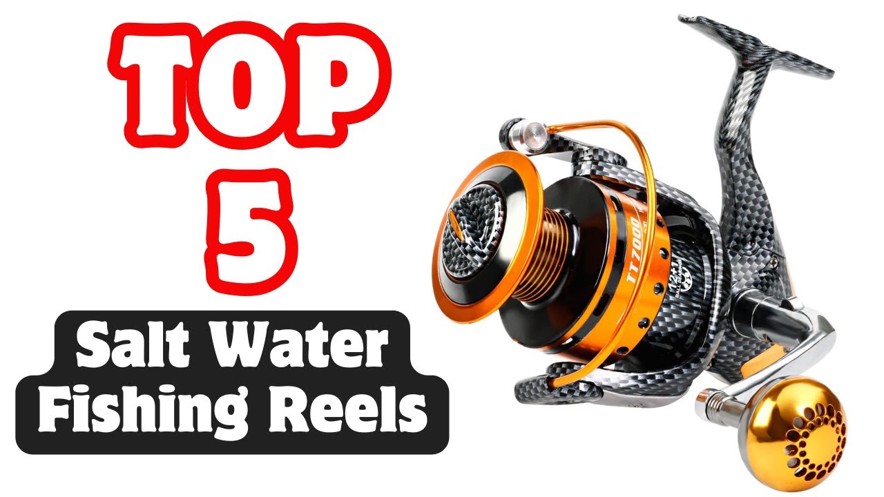 Best Salt Water Fishing Reels On Amazon