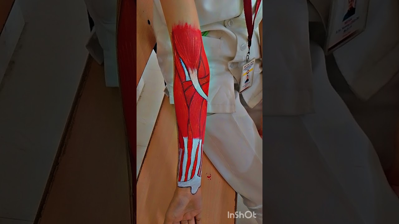 #body painting 🎨@anatomical #Art #medical@ nursing #Art#bodyart #bscnursing#abvmubscnursing