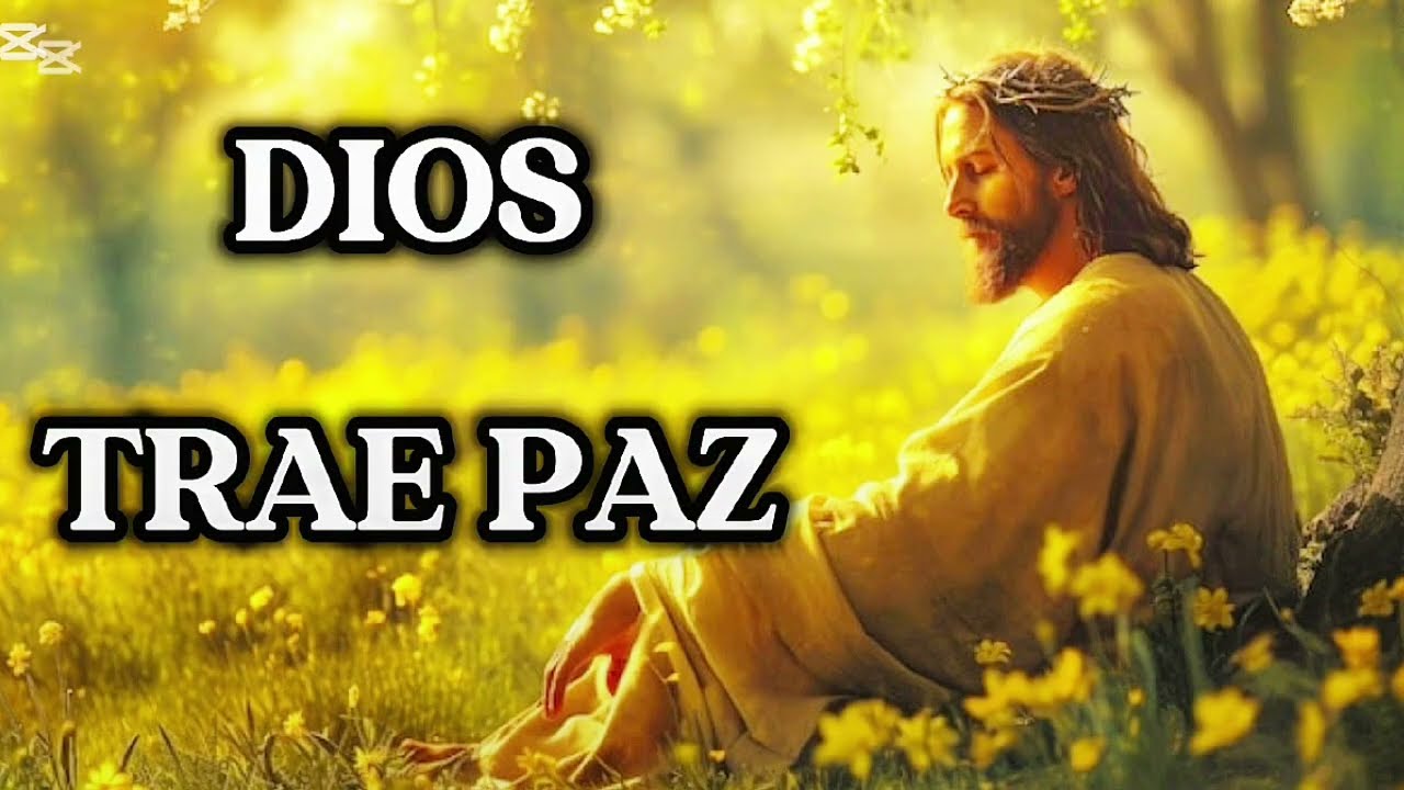 🕊️ Esta Oración Calmará Tu Mente y Traerá Paz a Tu Corazón