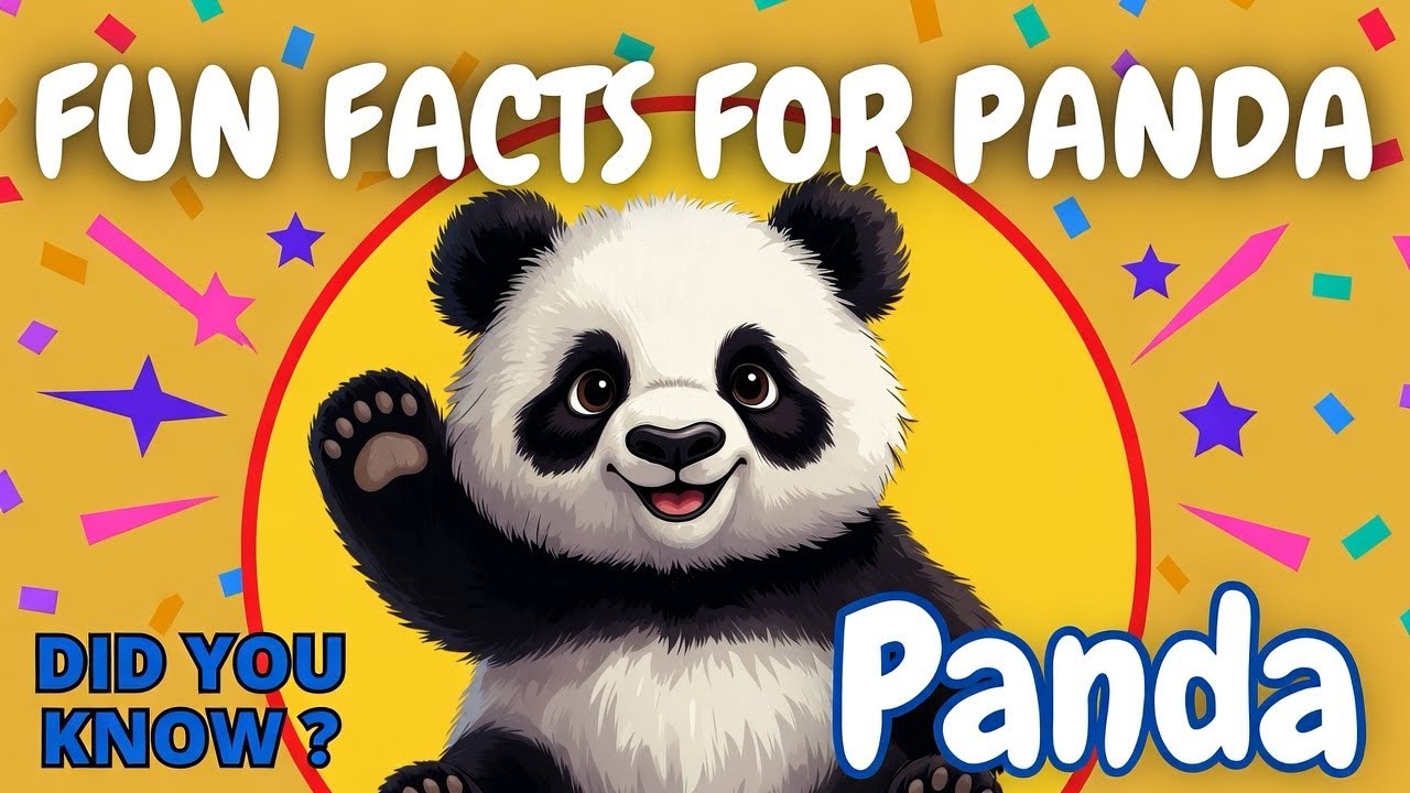 All About Pandas 🐼 | Fun Panda Facts | Happy Rainbow Zoo