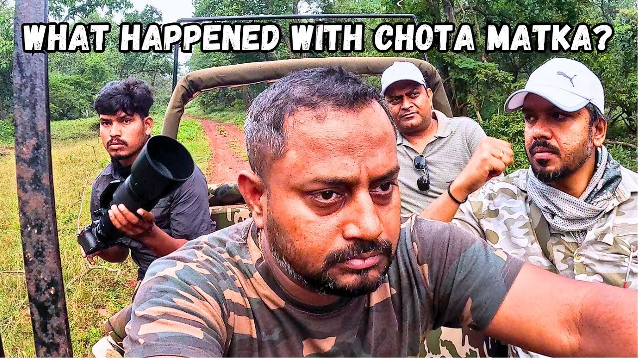 Wounded Warrior Chota Matka | Tadoba’s Most Emotional Tiger Rescue | Story of Chota Matka’s Survival