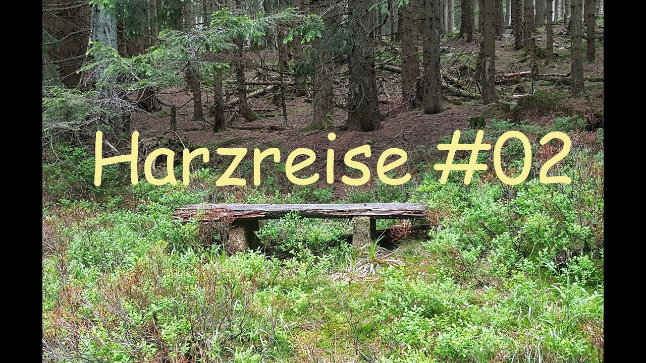 Mystischer Wald und Kaiserliche Stadt | Wandern im Harz | Harzreise #02 | Reisevlog | JOZZILIKE