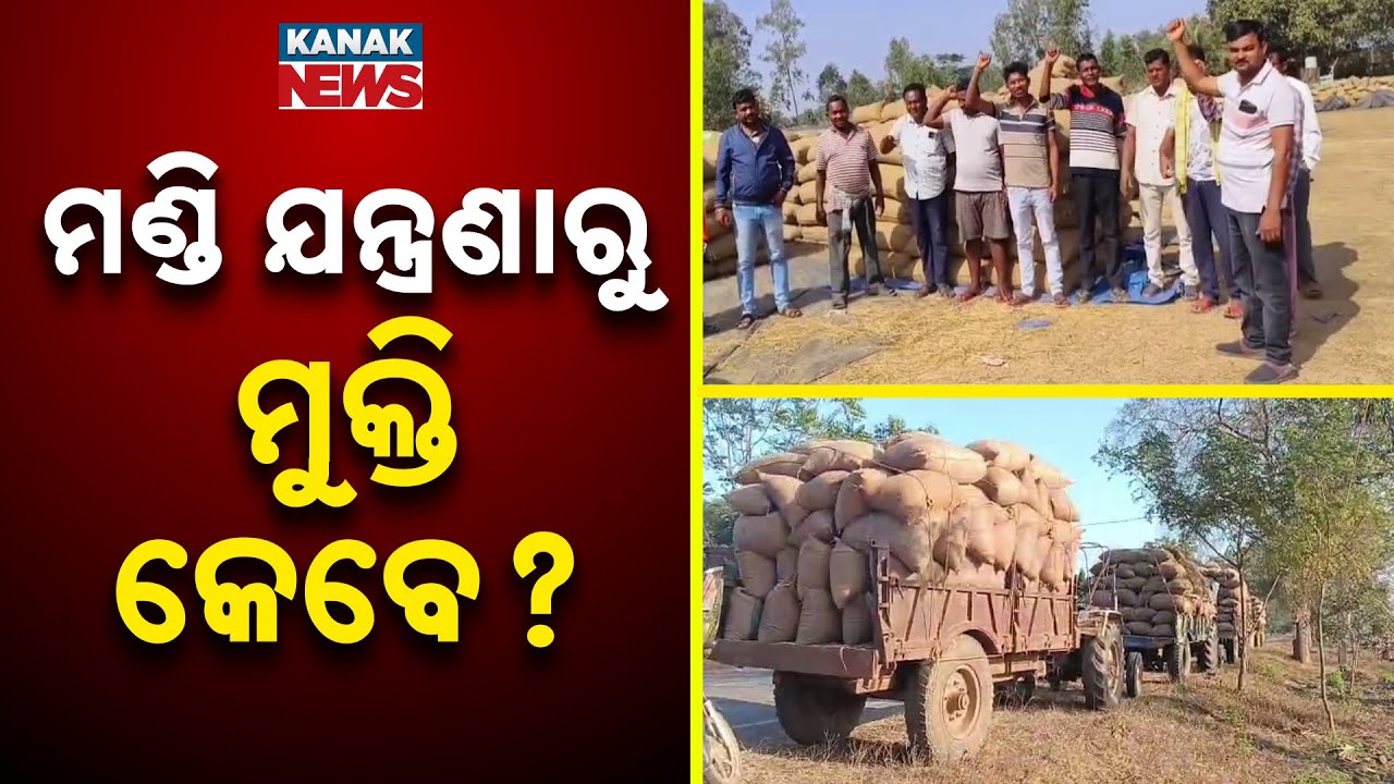 Farmers In Distress As Paddy Piles Up In Mandis | Kuchinda Mandi Crisis, Sambalpur