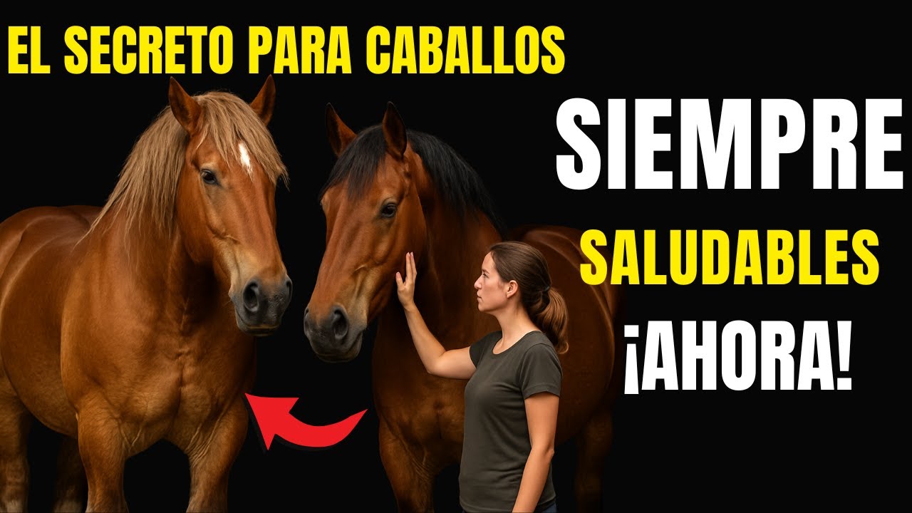 Salud Equina: 5 Cuidados ESENCIALES para tu Caballo