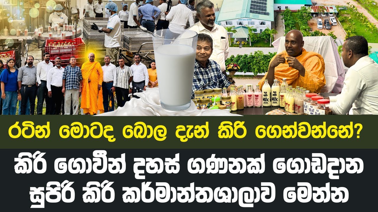 කිරි ගොවීන් දහස් ගණනක් ගොඩදාන සුපිරි කිරි කර්මාන්තශාලාව මෙන්න