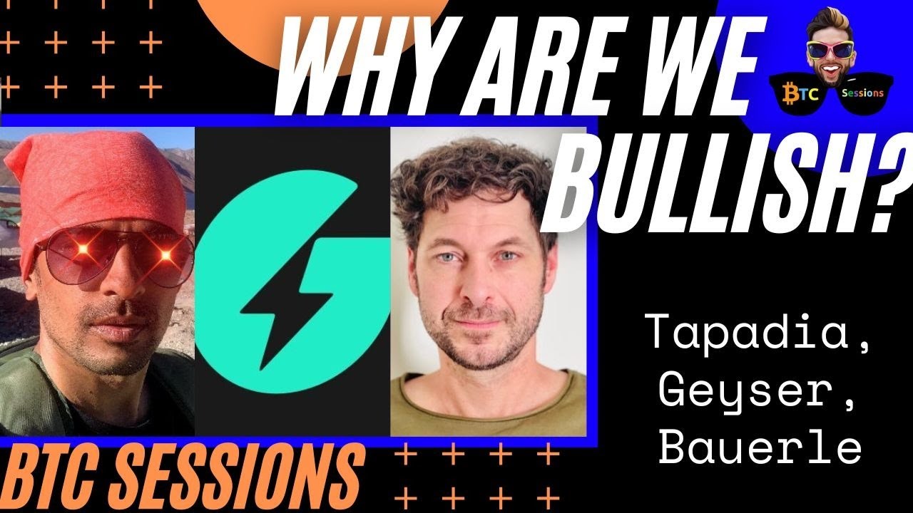WHY ARE WE BULLISH? Anant Tapadia, Geyser Fund, Nolan Bauerle