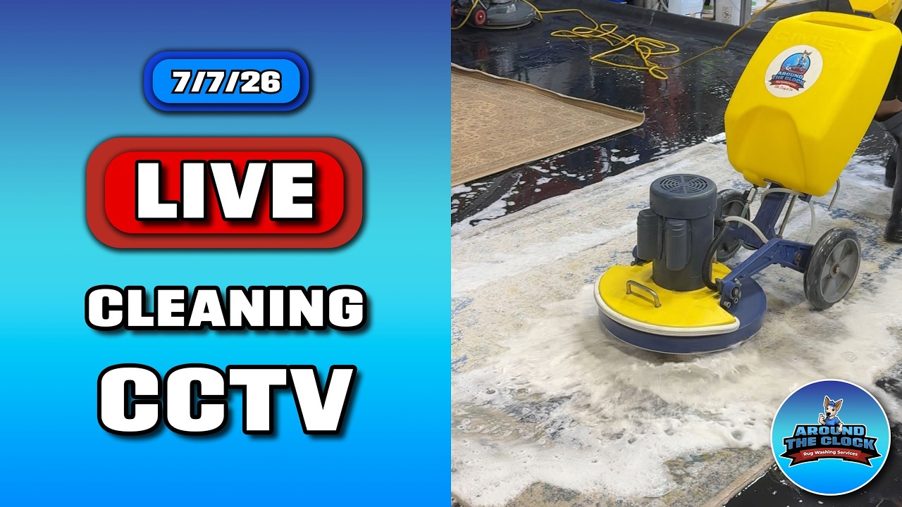 LIVE Rug Cleaning! #cleanwithme #rugwashing