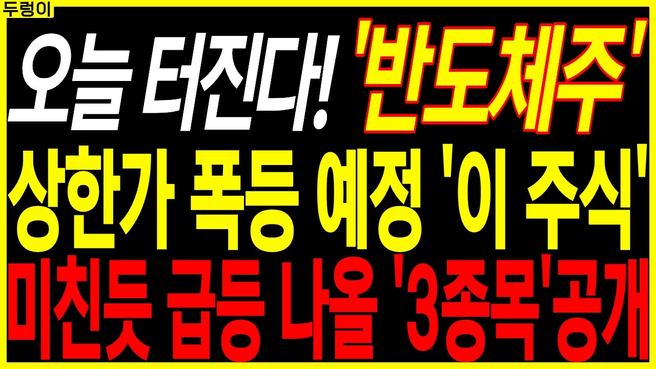 🌱반도체 대장주 주가전망🌱상한가 예정 '이 주식' 급등 나올 '3 종목' 공개 | 디에스경제속보 두렁이