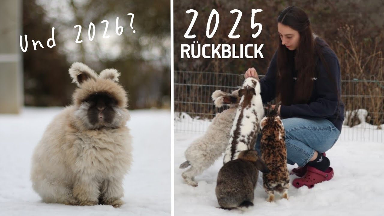 Meine Kaninchen, mein Kanal & eine große Entscheidung | Rückblick 2025 | Kaninchenstar