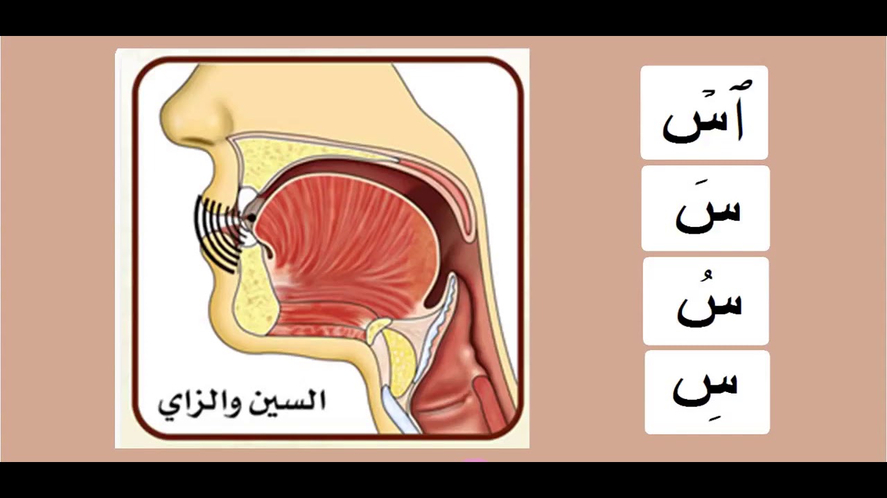Practicing The Arabic Letters | س | Sheikh Ayman Suwaid