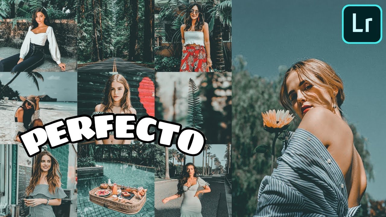 PERFECTO PRESET | HOW TO EDIT |  Lightroom Mobile Presets | Free DNG | Lightroom Preset 2020
