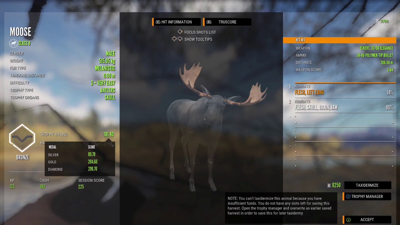 MELANISTIC MOOSE!