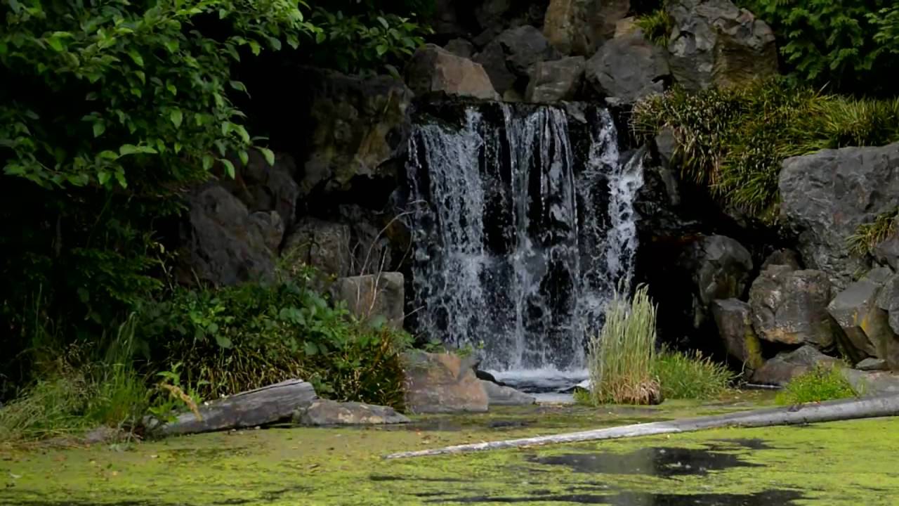 Talking Water Gardens, Albany, Oregon
