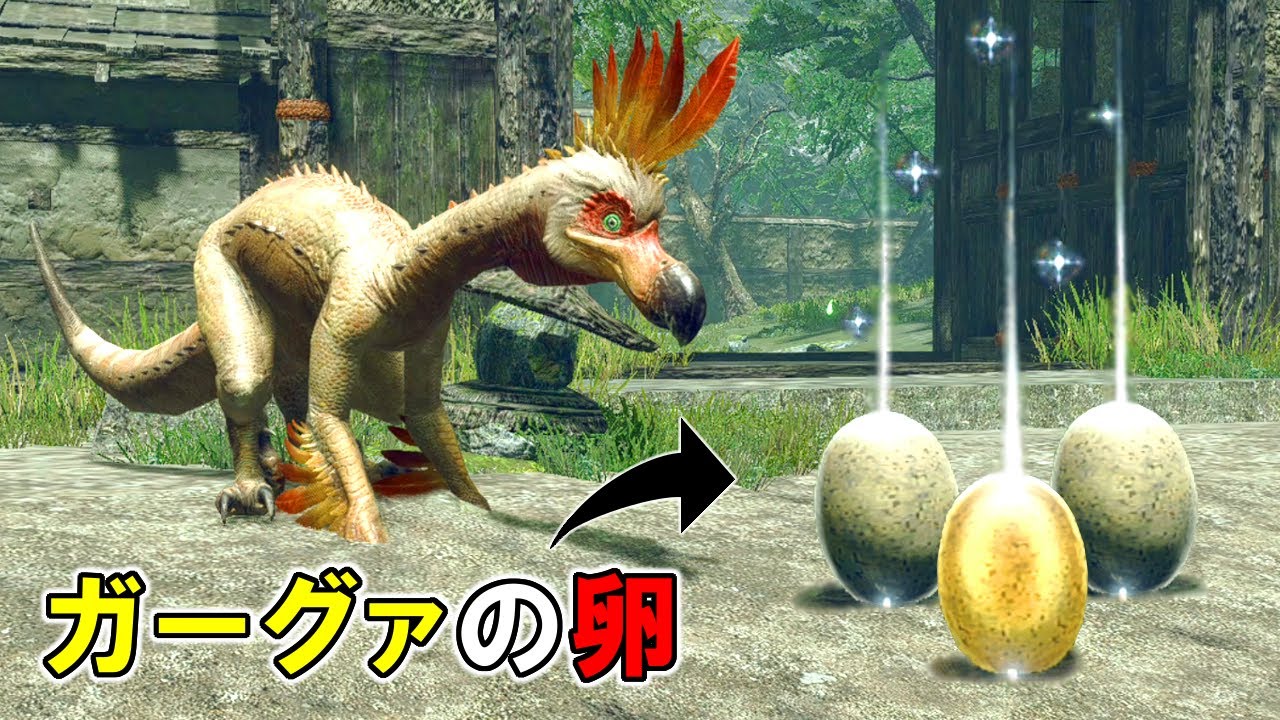 【MHRise】ガーグァの卵が道端に落ちていたら、クルルヤックは食べてしまうのか？（ゆっくり実況）